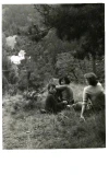 20.&nbsp;archiv [276]